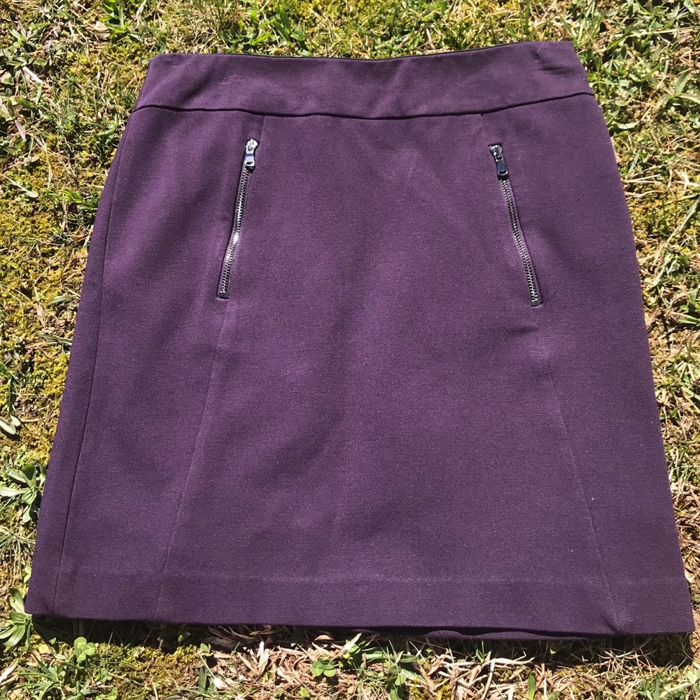 Ann Taylor Mini Skirt Purple Size 2